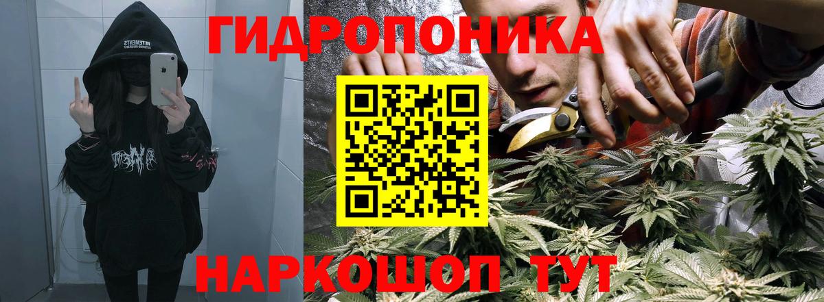 Новосибирск  Бошки Шишки Amnesia  Канабис конопля  Вход с VPN  Бошки марихуана SATIVA & INDICA 